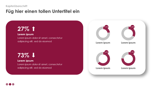 4 Kreisdiagramme mit Daten